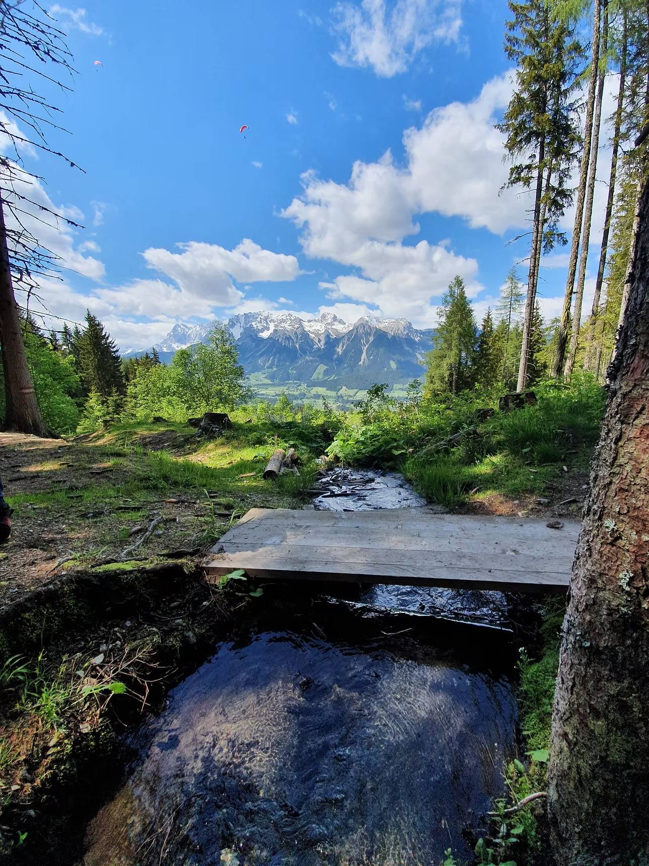 Wandern mit Blick auf den Dachstein